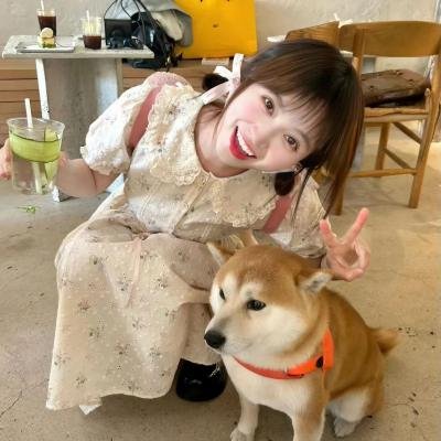 法文强化班